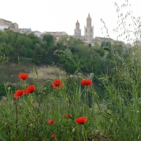 San Nicola Apartment Atri